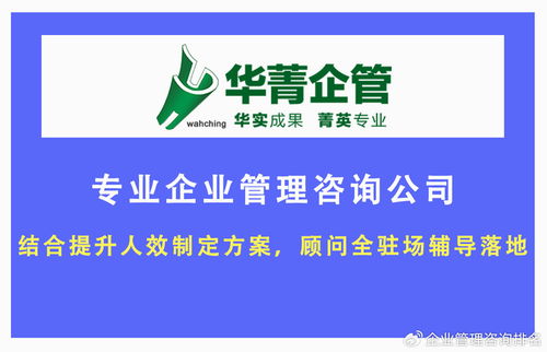东莞电商行业管理体系落地 专业咨询机构推荐与服务解析